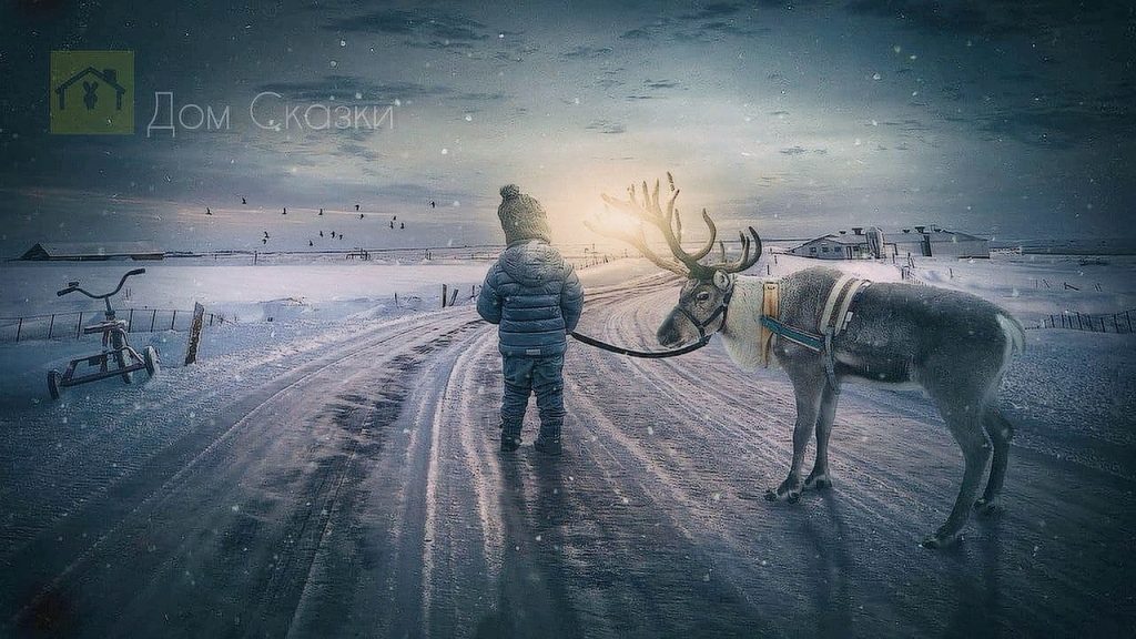Случай в тайге, на севере мальчик идёт по заснеженной дороге и ведёт на поводке северного оленя.