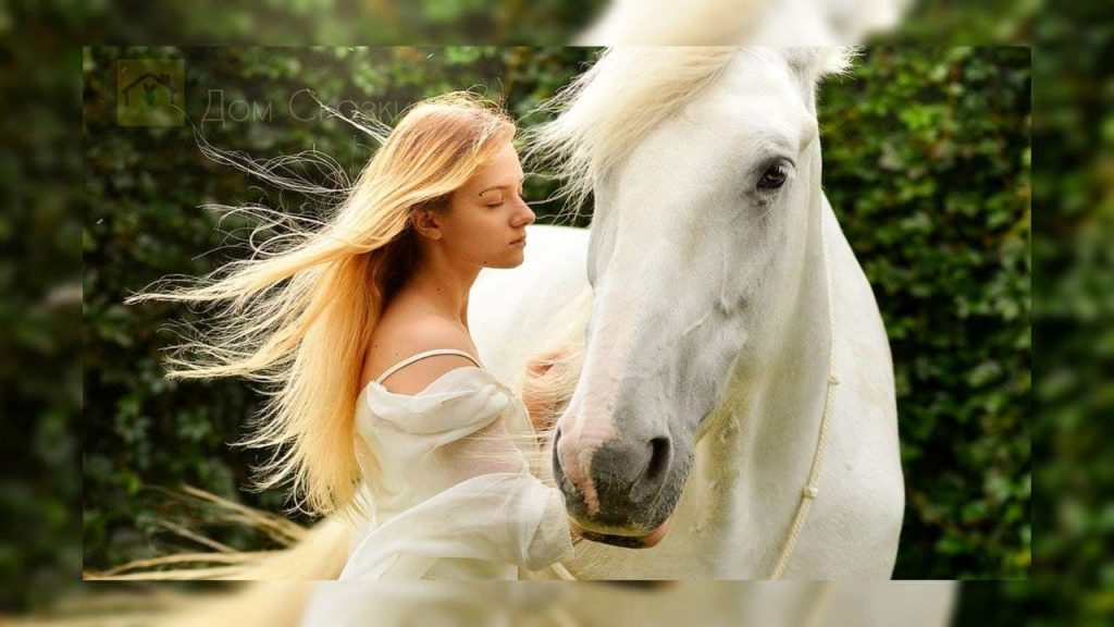 Подарок короля, белая лошадь, которую гладит девушка в легком белоснежном платье.