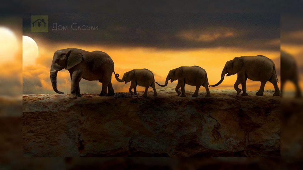 Слоны идут ночью на фоне заката держась хоботами за хвосты друг друга. Первым идёт взрослый слон, два малыша посередине и замыкает группу взрослый слон.