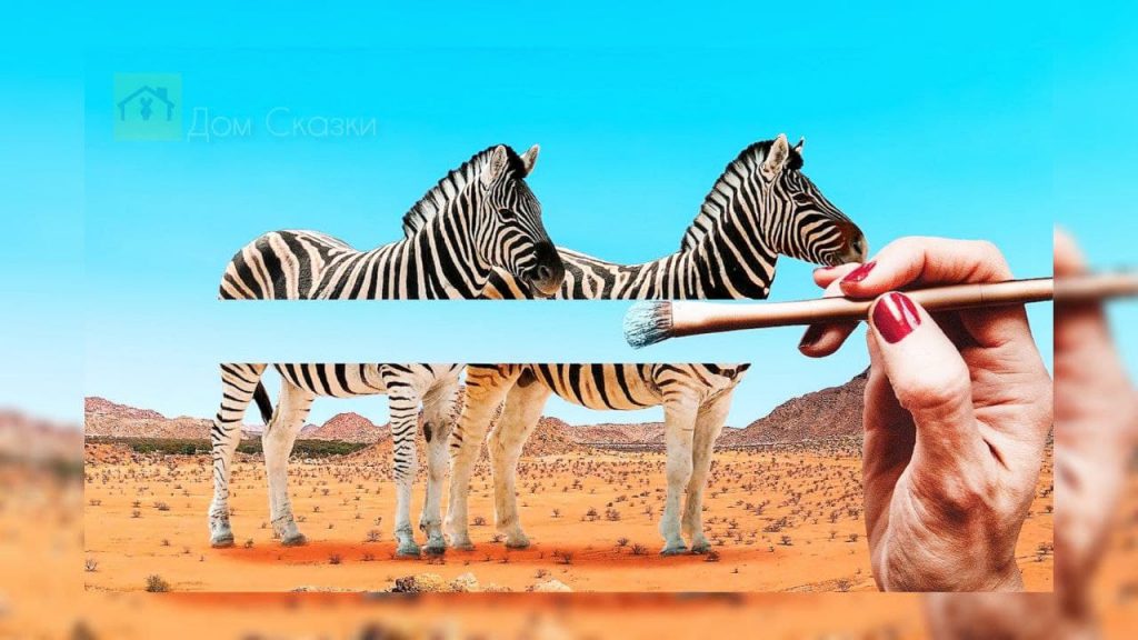 Две зебры стоят в пустыне и посередине человеческая рука словно кистью стирает с них полоску.