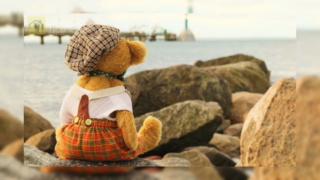 Плюшевый медведь одетый в кепку и клетчатый комбинезон, сидит на камнях у берега и смотрит на море загадывая заветное желание.