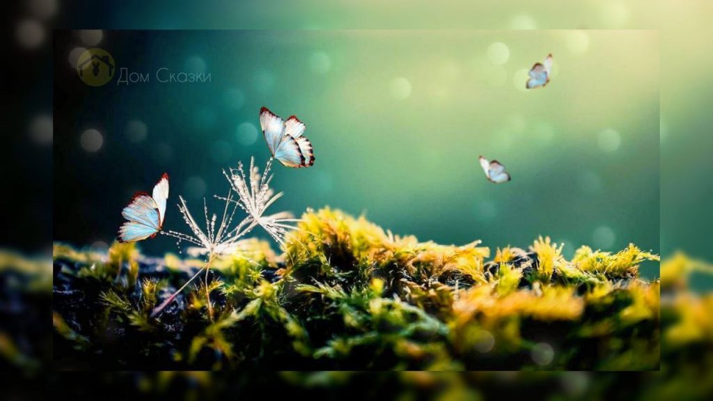 Лесная сказка, светло-голубые бабочки летают над семенами одуванчика, сверху на них светит яркий луч света, внизу жёлтый мох.