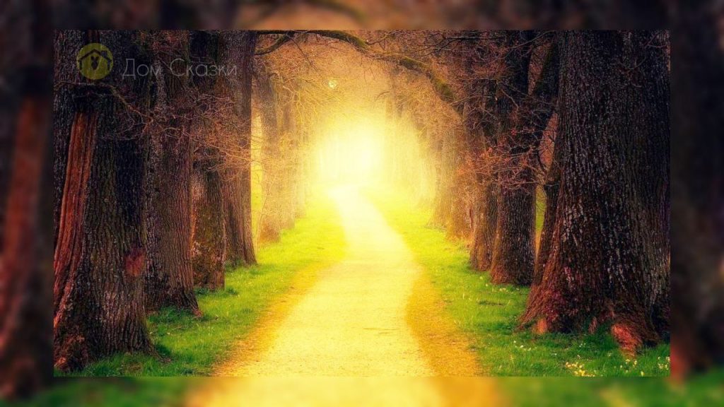 Чудо, в темном густом лесу одинокая тропа ведёт к выходу, потому что в конце неё ярко светит тёплый жёлтый свет указывая путь.