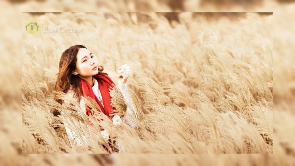 сказки народов, девушка азиатка в красном шарфе и бежевом свитере стоит в поле с золотистой высокой травой