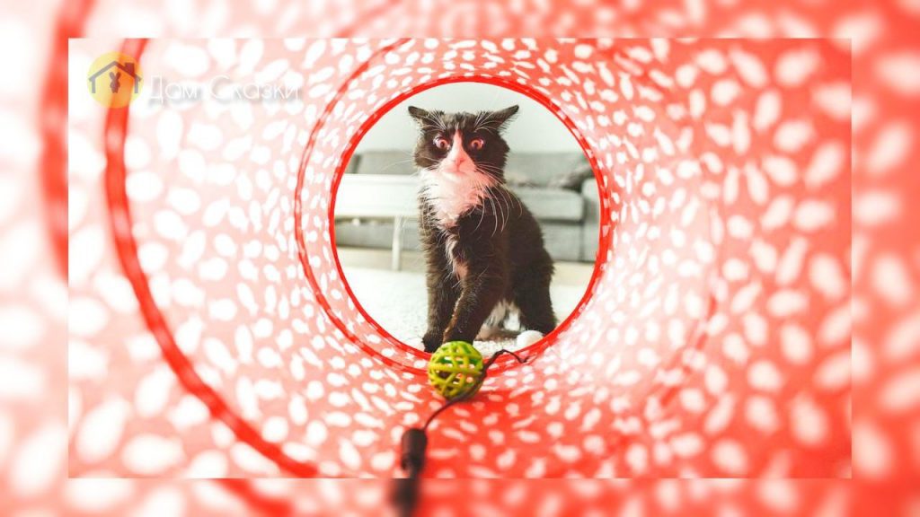 Кошки мышки, кошка смотрит через надувную игрушечную трубу из ткани на клубок ниток с которым она играет и хочет напасть.