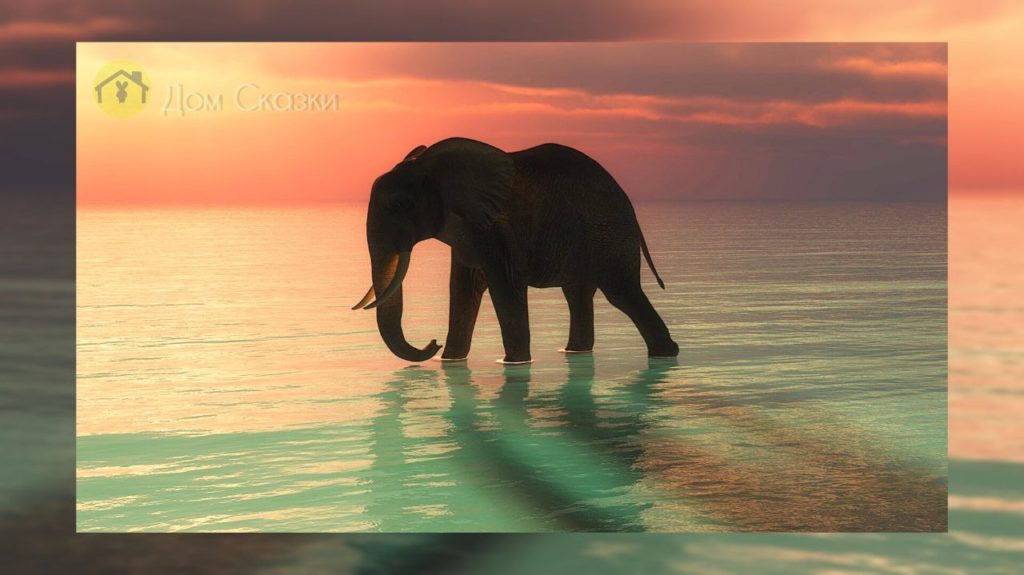 Про слонов, слон тсоит в воде на закате. Небо красивое, алое и жёлтое, а вода светло-бирюзовая. Сам слон в тени.